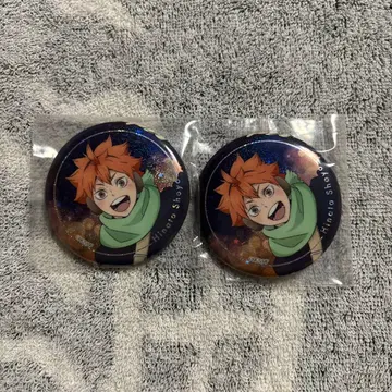 하이큐 x 코스모 월드 히나타 쇼요