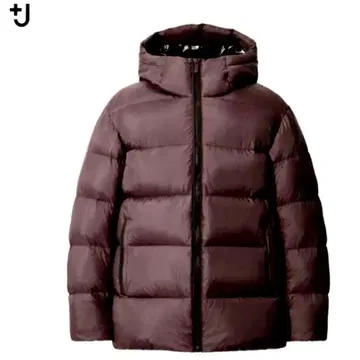 유니클로 질 샌더 다운