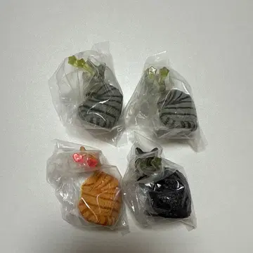 눈에서 Beam NEKO 3종