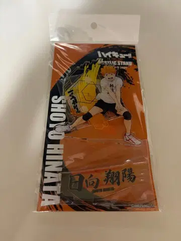 하이큐 합동 연습회 2021 아크릴 스탠드 히나타 쇼요