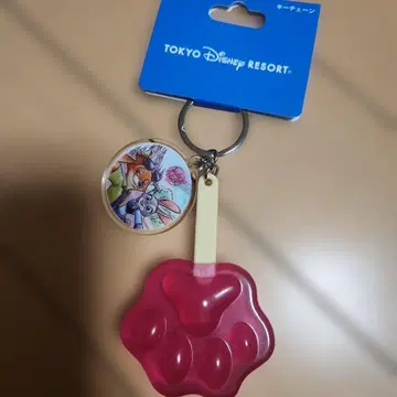 도쿄 디즈니 주토피아 키체인 아이스캔디