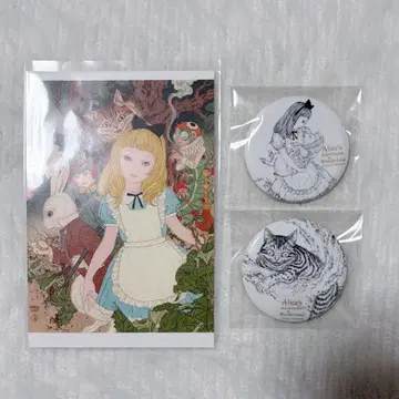 야마모토 타카토 앨리스 이야기