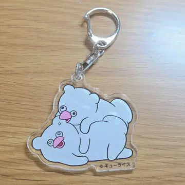 큐라이스 만박 해친파모스