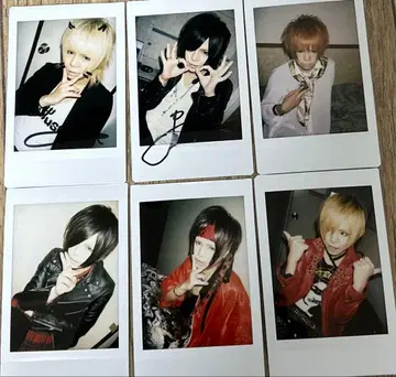 R지정 마모 폴라로이드