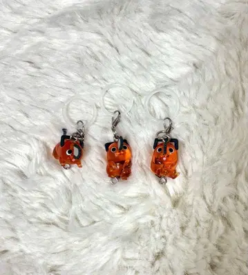 포치타 메지루시 참 3마리