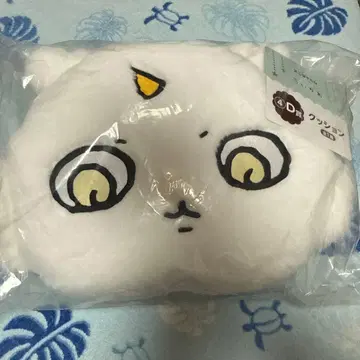 치이카와 에니마이 복권 D상 그 아이