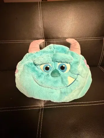 디즈니 샐리 팬캡