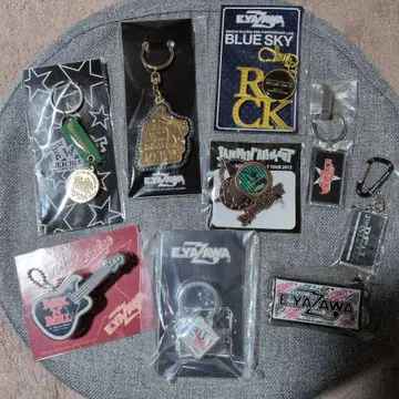 야자와 에이요시 키링 9점