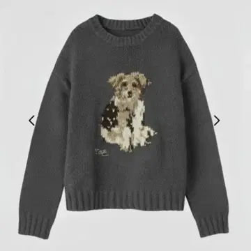 the toe schloss dog knit