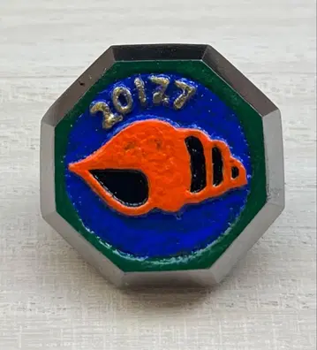 베이맥스의 가공 베이맥스