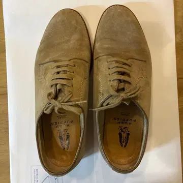 HUSH PUPPIES 베이지 스웨이드 신발