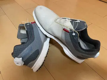 FOOTJOY PRO SL 골프화 27.0