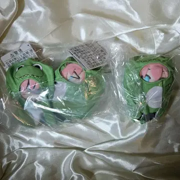 봇치 더 록! Matowooz 마스코트 고토 히토리