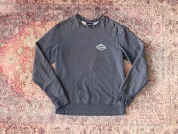 인기 초특가 파타고니아 로고 맨투맨 풀오버 XS 블루 브랜드