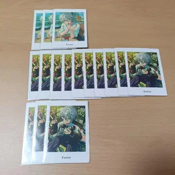 앙스타 파샤츠 Vol.6 Action private 에스프리 칸나