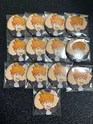 하이큐 캔뱃지 히나타