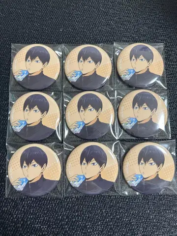 하이큐 캔뱃지 카게야마