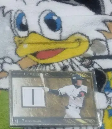 스즈키 다이치 선수 카드 시리얼 포함