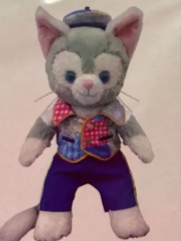 새상품 미사용 더피 젤라토니 코스튬 Wishing ~