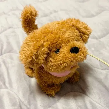 리모컨으로 산책 멍멍 토이푸