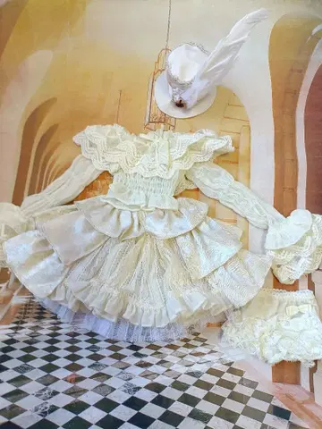 DD 드레스 보크스.DD.돌피드림 등에