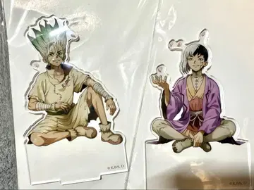 Dr.STONE 이시가미 센쿠 아사기리 겐 아크릴 스탠드 꽃놀이