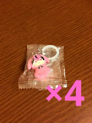 시쿠포니 LAN 메지루시 액세서리