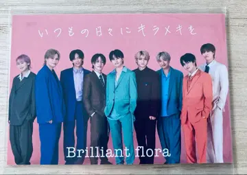 초특급 Brilliant Flora 집합 트레이딩 카드 카드