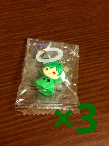 시쿠포니 스치 메지루시 액세서리