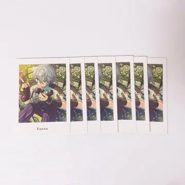 앙스타 칸나 파샤츠 vol.6 Action