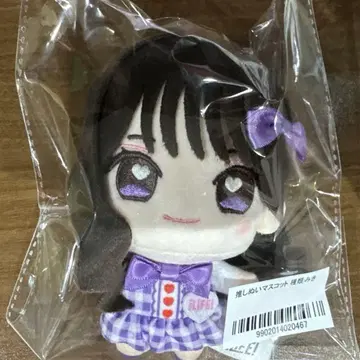 iLiFE! 준령 미키 최애 봉제 인형 마스코트