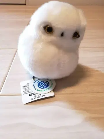 미사용 새상품 택 포함 요시토쿠 올빼미 오르골 봉제 인형