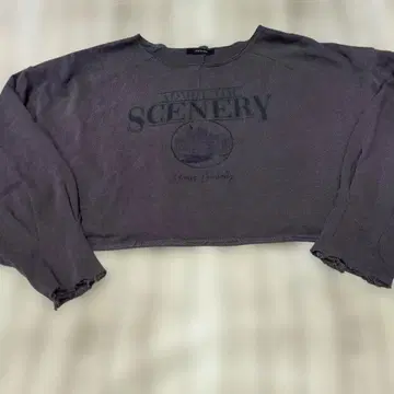 JEANASIS 슬로건 프린트 크롭 맨투맨 그레이