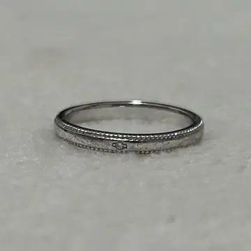 Lee festaria VOYAGE 비쥬소피아