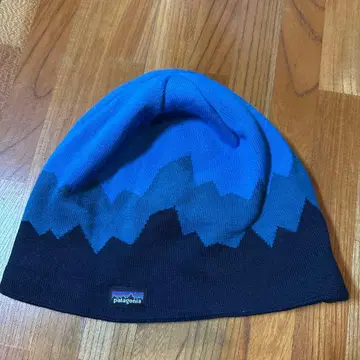 파타고니아 비니