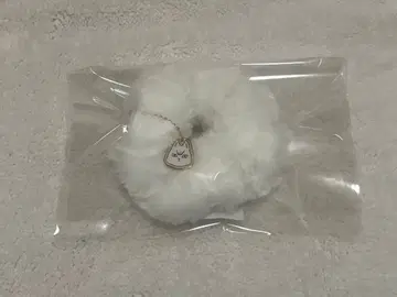 하이큐!! 북쪽 여우 스크런치