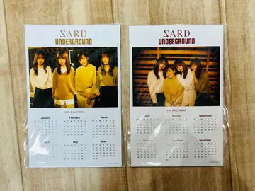 SARD UNDERGROUND 2020 달력 엽서 2장 세트