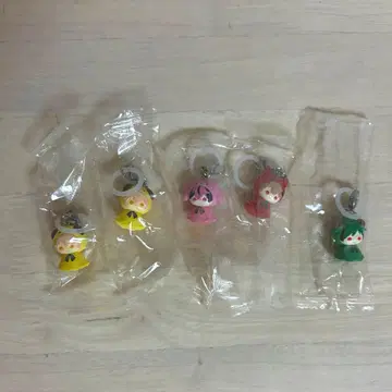 시쿠포니 메지루시 액세서리