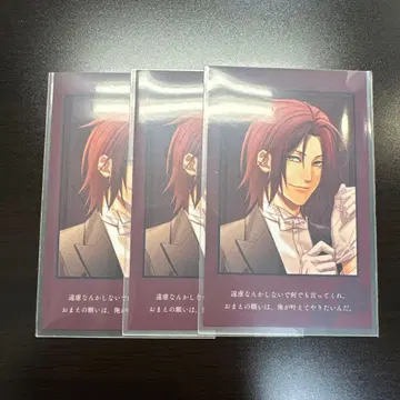 박앵귀 신개 오토메이트 오토후유 매트 미니 포토 카드 하라다