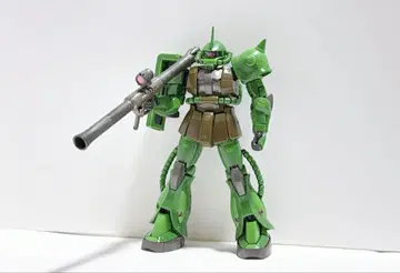 RG 리얼 타입 컬러 자쿠 건담 EXPO 한정판