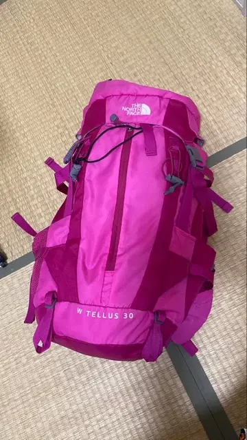 The North Face W Tellus 30 핑크