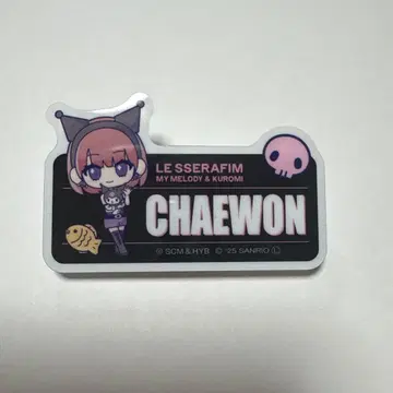 Le Sserafim 아크릴 네임 배지