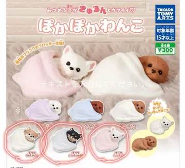 포카포카 멍멍 가챠 치와와 3마리 세트 초코탄 블랙탄 크림