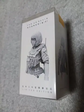 LIMITED EDITION 여성 캐릭터 피규어
