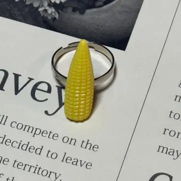 2조니데 착용 영콘 약 반지 콘 약 반지