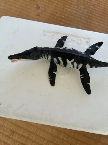 공룡 피규어 9개 세트