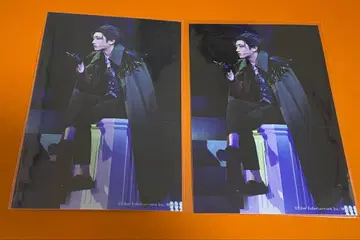 에이스테 란브로 스테쇼 츠무기