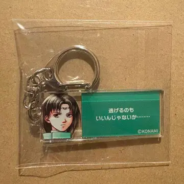 환상수호전 블라인드 대사 키링 룩