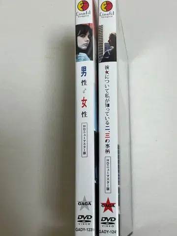 컬 Th 드라이어 컬렉션 크리티컬 에디션 재판장(' -