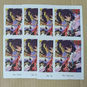 앙스타 파샤츠 사쿠마 레이